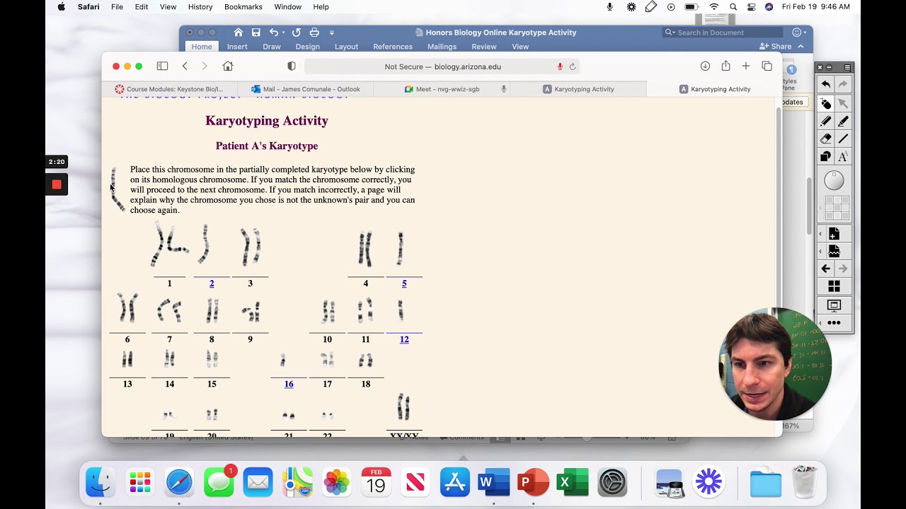 Virtual Karyotype Lab Answers: Unlocking the Secrets of Genetic Variation