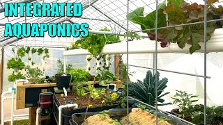 Integrated Aquaponics System with DWC, NFT, DRZ, Sand Beds + MORE - Kerrville Texas USA