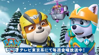 パウ・パトロール | ラブルの雪山＆どうぶつレスキュー！スカイとエベレストといっしょに | 1時間| テレビ東京系にて放送中