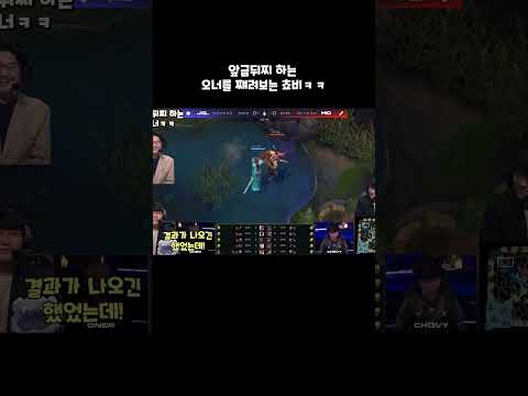앞굽뒤찌하는 오너를 째려보는 쵸비ㅋㅋㅋㅋ #shorts