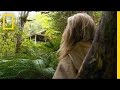 Nick's Forest Adventure and Concerns