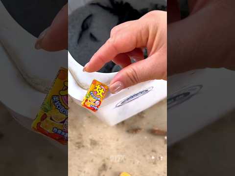 Toffee keeps falling into the water 🍬 #shorts #viral #trending