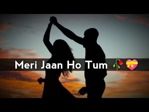 Meri Jaan Ho Tum 👩😘 Romantic Shayari Status 2020 | Love Shayari Status | Peotry | MZ Edit