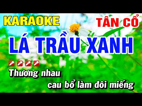 Karaoke Lá Trầu Xanh Vọng Cổ Dây Đào Tone Nữ | Hoài Phong Organ