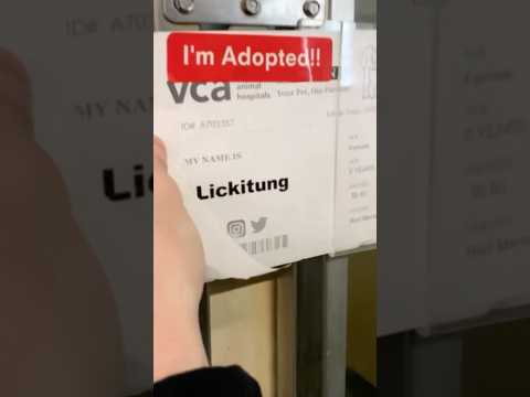 Starting her new life ๐ฅฐ her dad drove over 4 hours to adopt her ๐