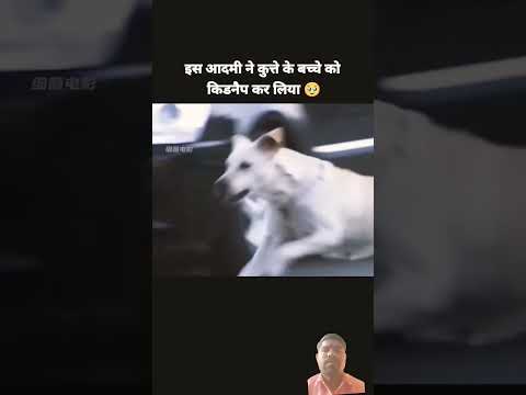 😭😭😱 Very sad movement.. #facts #animals #animallife #subscribe #channel