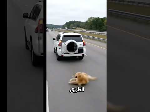 لقطة انسانية جميلة #اكسبلور