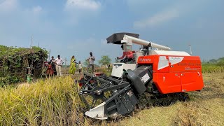 Kuboto Mini Harvester Machine In Deep Mud Paddy Cutting | Mahindra Tractor