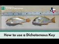 Identifying Fish Species and Keys