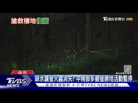 迎螢火蟲點亮仲夏! 南北狀況卻差很大...｜十點不一樣20230508@TVBSNEWS01 - YouTube(4分30秒)