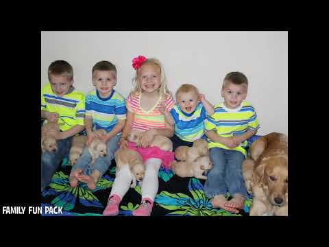 Most Adorable Golden Retriever Puppies - Family Fun Pack Kona