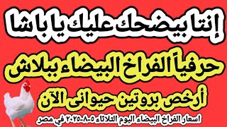 اسعار الفراخ البيضاء اليوم/ سعر الفراخ البيضاء اليوم الثلاثاء ٥-٨-٢٠٢٥ في مصر جمله وقطاعي