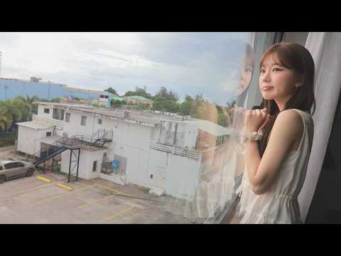 유명 신혼여행지에서의 대참사