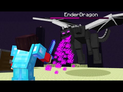 we fought the ENDER DRAGON after 6,292,178 years..