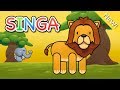 Characteristics and Claims of Lions