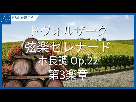 ドヴォルザーク: 弦楽セレナード ホ長調 Op. 22 - 第3楽章／Dvořák: Serenade for Strings in E Major, Op. 22 - III. Scherzo