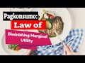 Understanding Diminishing Marginal Utility