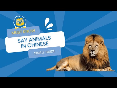 HOW TO - Say Animals in Chinese | Complete Guide to Animals in Mandarin Chinese