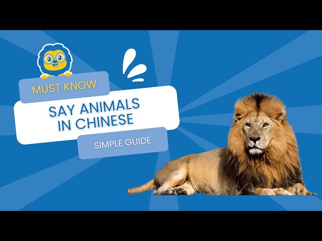 HOW TO - Say Animals in Chinese | Complete Guide to Animals in Mandarin Chinese