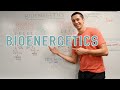 Bioenergetics and Metabolic Pathways