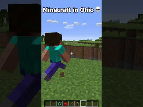 Can't even play Minecraft in Ohio ๐(part 10) #shorts #minecraft #ohio