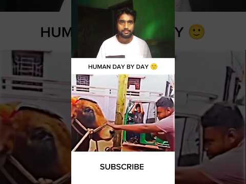Human day by day 💔🥀😭 #shorts #sad #viralshorts #shortvideos #singri_nature