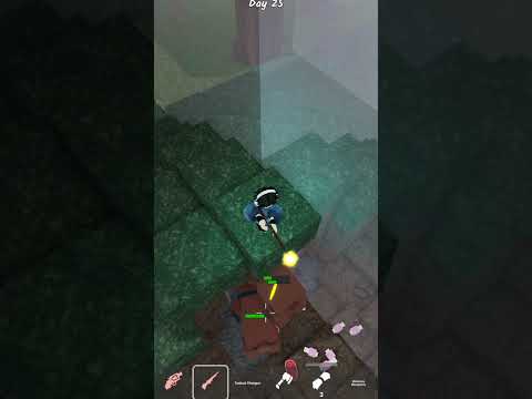 How to Get Koala Kid - 99 Nights in the forest #roblox #robloxedit #immortal545