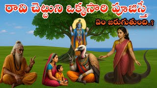 రావి చెట్టుని పూజిస్తే ఏం జరుగుతుంది|Telugu Stories|Sanatana Vedika|Devotinal Stories|Moral Satories