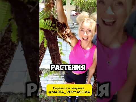 Выберу себе 🪦 #актриса #дубляж #юмор Перевела и озвучила @Maria_Veryasova @_The_Clean_Girl