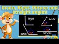 Understanding Angles and Their Measures