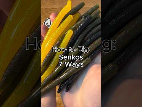How to Rig a Senko 7 Ways #fishing #fishingtips #howto #bassfishing #largemouthbass #senko