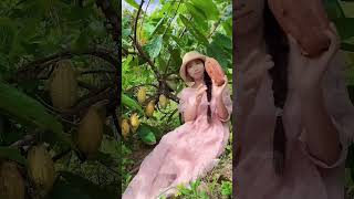 Enjoy beautiful nature with rural life 417# MP Fresh #fruit #countrylife #farming #garden