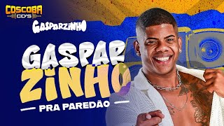 GASPARZINHO   PRA PAREDAO