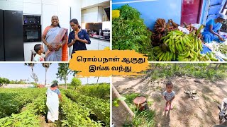 😍இங்க வந்ததும் பழைய நினைவுகள் ❤️எல்லாம் வந்திருச்சு |புதுசு புதுசா READY ஆகுது |@Ammasamayalrecipes