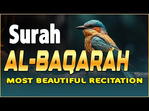 Surah Al-Baqarah | By Sheikh Alaa Aql | Full With Arabic Text (HD) | 02-سورۃالبقرۃ