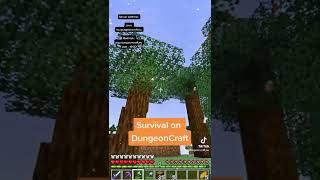 Join our server and try it out yourself! #Shorts #minecraft #minecraftserver #survival #dungeoncraft