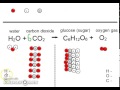 Photosynthesis Equation and Concepts
