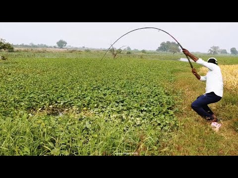 FISHING VIDEO 🎣 DIFFERENT LOCATIONS TODAY'S FISHING. in Fisher Man Catching by SINGLE HOOK BiG ROHU