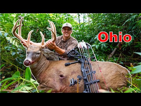 HEAVIEST WHITETAIL Weโve EVER Seen! (URBAN Ohio Bruiser!!)