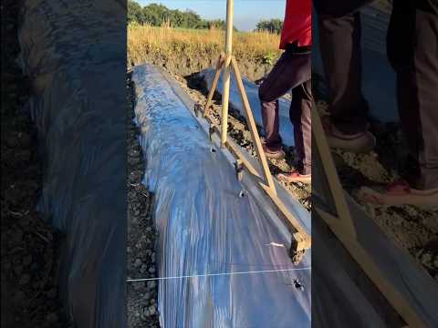 Smart Way For Planting with Equal Spacing #farmingtools