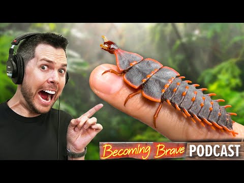 Strangest Creature I’ve Ever Filmed!