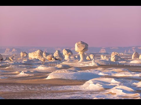 Top 10 Cosas Raras que Ocurren en los Desiertos