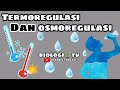 Kuis Sistem Endokrin