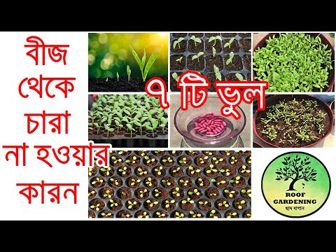 যে যে ভুলে বীজ থেকে চারা হয়না / Seedling Mistakes / roof gardening