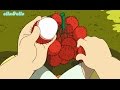 Fruit Discovery and Preparation