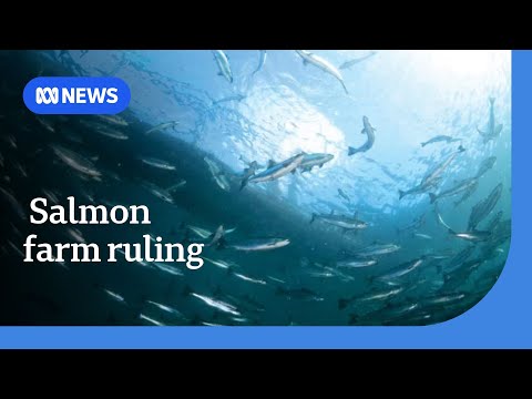 YouTube video thumbnail: Federal Ruling in Favour of Tasmanian Salmon Farming Operations