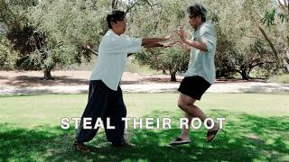 How Tai Chi Fajin Makes People Fly