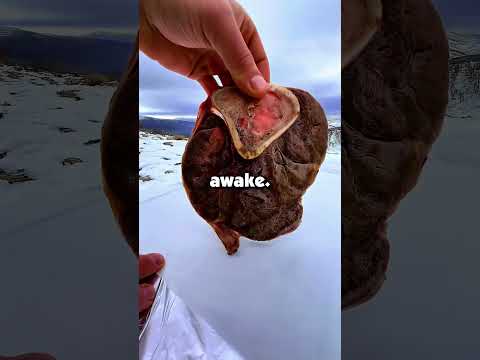 What was your most INTERESTING SLEEPWALKING experience?