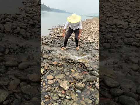 Building a path for fish that have finished spawning