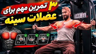 Top 3 Exercises to build your chest / سه تمرین مهم برای عضلات سینه 
